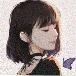 皮皮虾头像